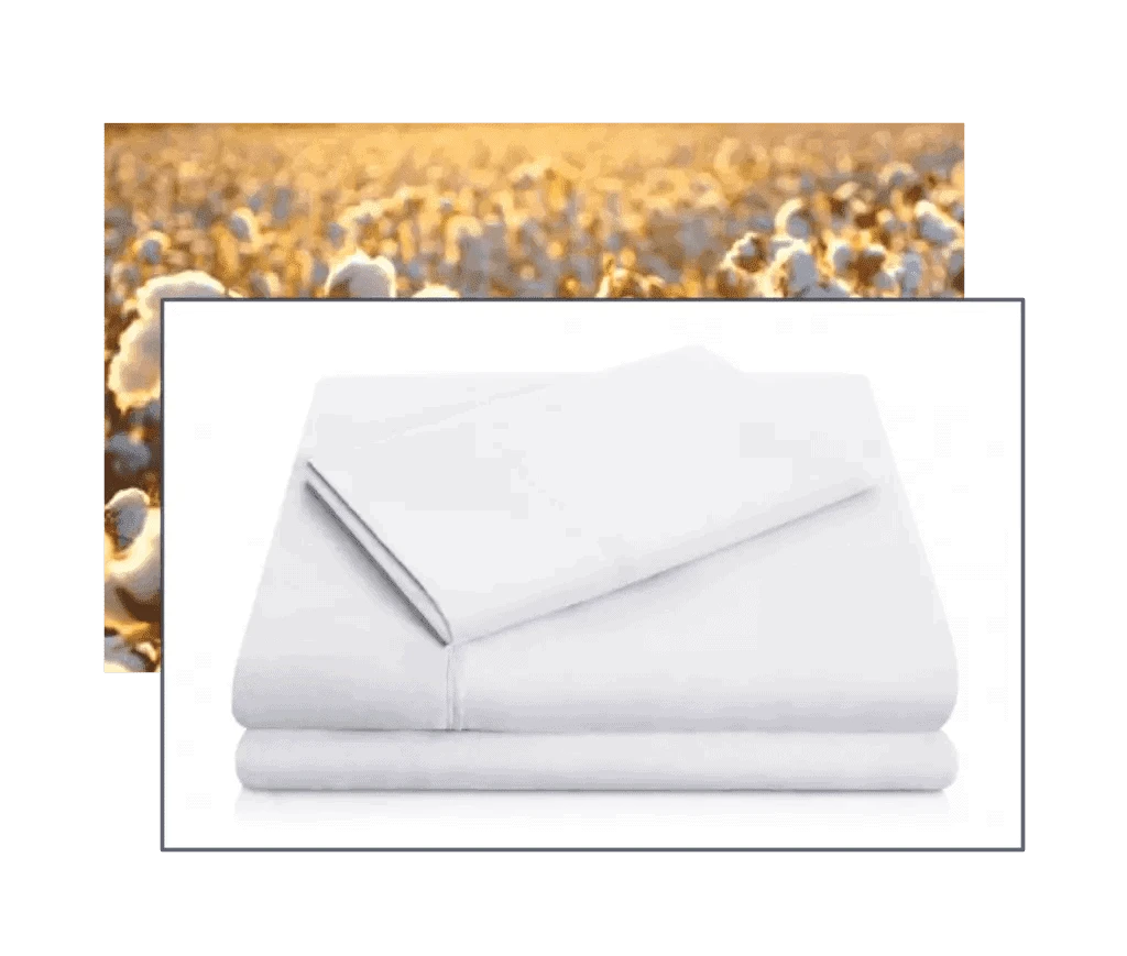 Organic Cotton Sheet Set for Aura Beds